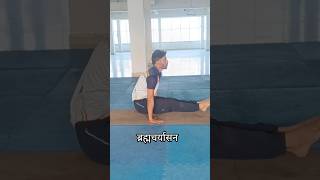 Bramcharyasana #yoga #yogaskills #balance #status #reels #shortvideo