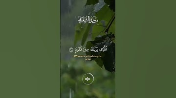 وَتَوَكَّلْ عَلَى الْعَزِيزِ الرَّحِيمِ - القارئ وديع اليمني