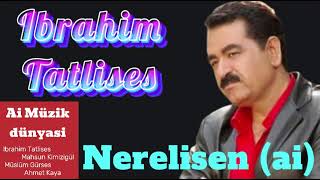 Ibrahim Tatlises - Nerelisen (ai) Resimi
