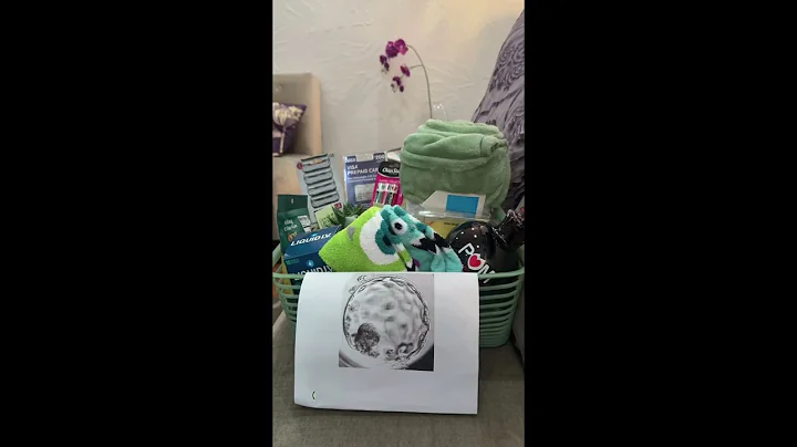 🚀Embryo transfer: SUCCESS! Share my IVF journey👶 #pregnancy #ivf #ivfjourney #ivfsuccess #baby