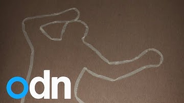 When did they die? New forensic technique helps scientists establish time of death