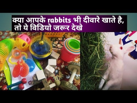 वीडियो: सुरक्षित खरगोश खिलौने कैसे चुनें