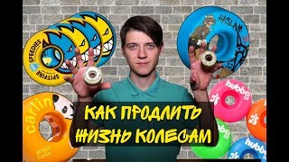 КАК ПРОДЛИТЬ ЖИЗНЬ СКЕЙТ КОЛЕСАМ || КРУИЗЕР ДЛЯ ПЕРЕМЕЩЕНИЯ