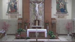 St. Dominic Parish Delhi Cincinnati, Ohio Live Stream