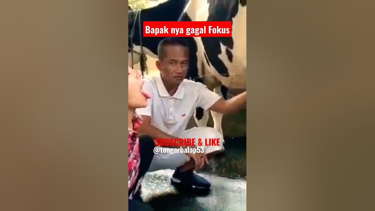 Meme viral minum susu sapi murni vidioshort youtube