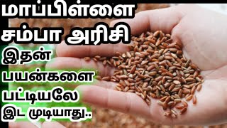 மாப்பிள்ளை சம்பா அரிசி பயன்கள்| mappillai samba rice benefits| கருப்பை பலம் பெற| red rice benefits screenshot 5