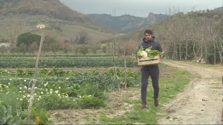 Italie : le retour à la terre des jeunes diplômés