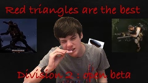 Top 5 Division2 Bugs (Ft. Llama77)