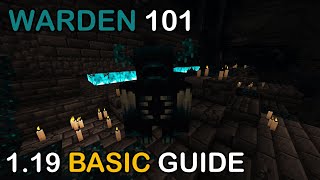 WARDEN 101 | Minecraft 1.19 Guide