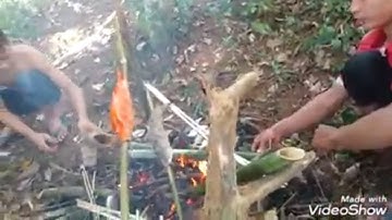 Quăng chài bắt cá rô phi ,nướng trứng và thưởng thức món cơm lam ống tre _phần  1