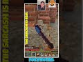 Minecraft: I Love Trail Ruins