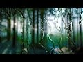 RAIN SHOWERS 10 HOURS | Nature Sounds For Studying, Reading, Writing or Sleep | White Noise