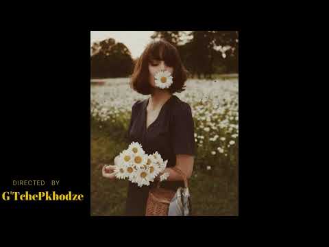 გვირილები