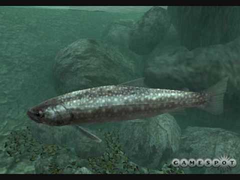 Reel Fishing 3 Walkthrough  Stage 8: Old Bridge 