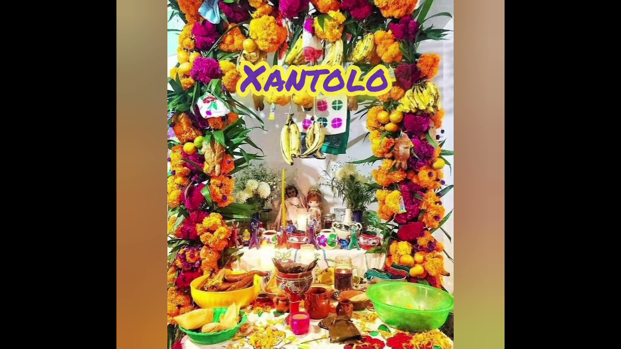 Sones Tradicionales de Xantolo con el Trio paseador huasteco de Tantoyuca,  Veracruz