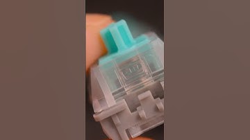 Lekker Tikken Switches Sound Test! #mechanicalkeyboard #keyboard