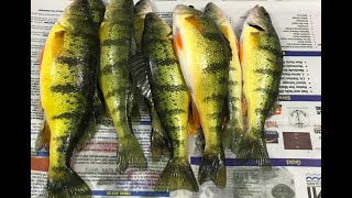 Simple perch rig