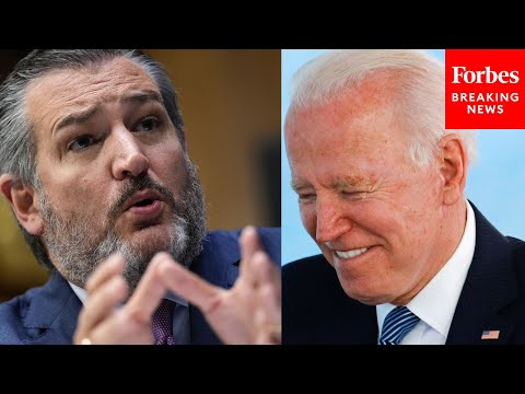 'Like A Monty Python Skit': Ted Cruz Mocks Biden Administration's Approach To Abraham Accords