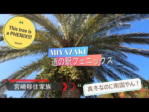 宮崎の南国チックな雰囲気を存分に味わえる場所！道の駅フェニックス｜宮崎移住家族【＃31】