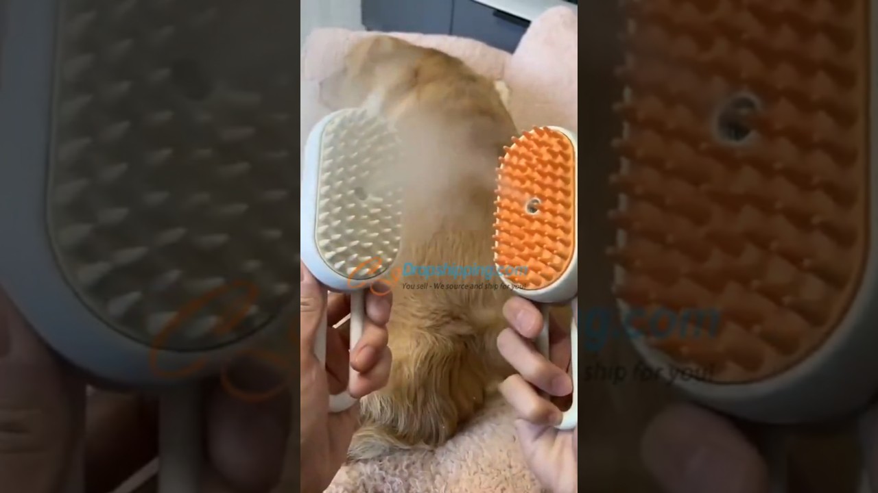 3 In 1 Electric Spray Steam Brush for Dogs Cats and Other Pets 