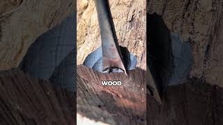 What The Rarest Wood Is Used For 🤯