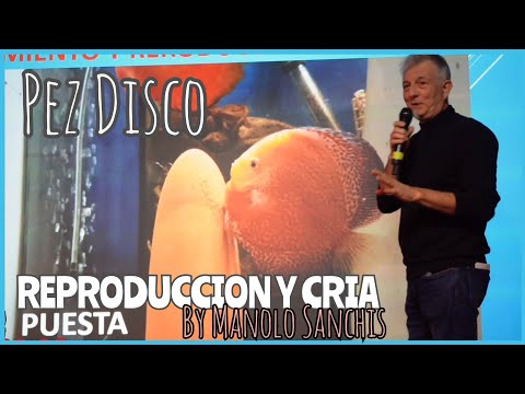REPRODUCCION Y CRIA