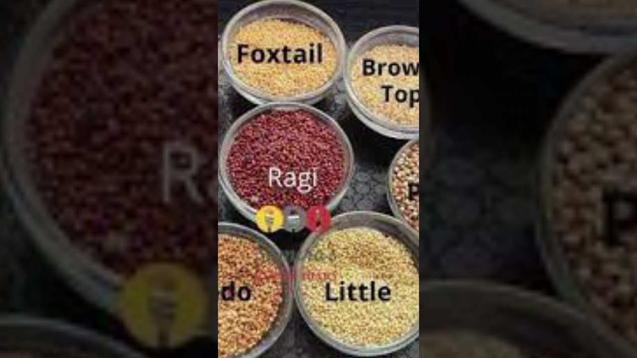 India Agriculture problem.. Punjab, Haryana Water Shortage.