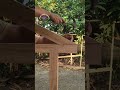 conections technique👍 #carpenter #woodworking #wood #diy #furniture #shorts