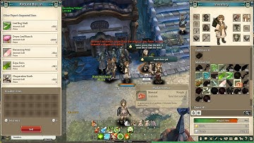 Tree of Savior | Bug while selling?