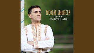 Video thumbnail of "Nicolae Gribincea - Tot Am Zis Maica Ma Duc"