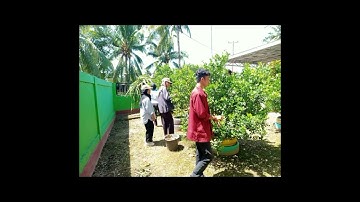 PKL mahasiswa stip Mujahidin Tolitoli di BPP buntuna kecamatan Baolan