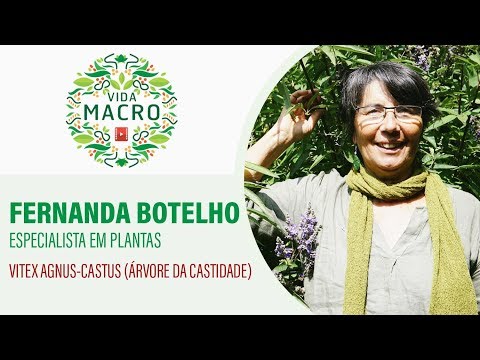 Vídeo: Vitex Sagrado Ou árvore De Abraão (Vitex Agnus-castus), Vai Ajudar Na Infertilidade E Excesso De Peso