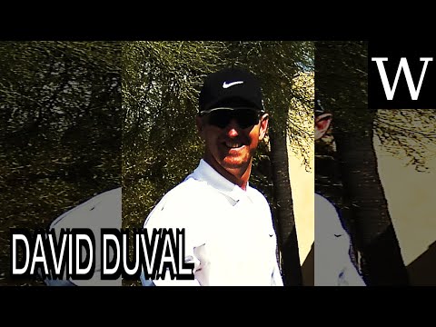 Video: David Duval Čistá hodnota: Wiki, ženatý, rodina, svatba, plat, sourozenci