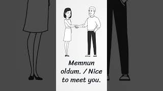Basic Turkish Greetings & First Conversation Beginner Turkish Dialogue