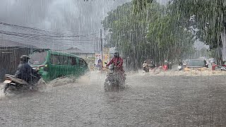 heavy rain flooded my village again | very exciting and cool, fell asleep to the sound of heavy rain