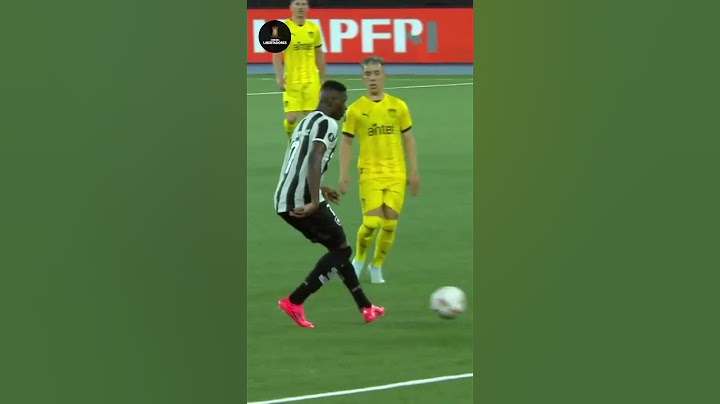 🌟⚽ TOP 5 GOLES DE BOTAFOGO EN LA CONMEBOL LIBERTADORES 2024