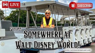 Somewhere at Walt Disney World #live