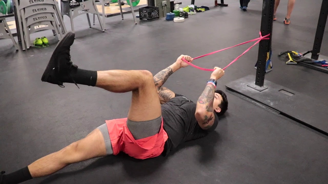 Banded Dead Bug YouTube