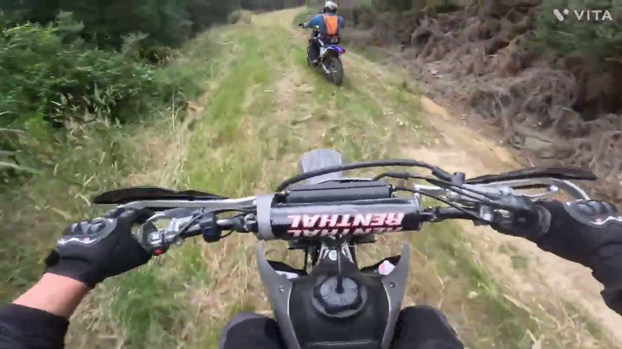 Exploring The Deep Forest of Marlborough Sounds Valley on our KLX300r!!  