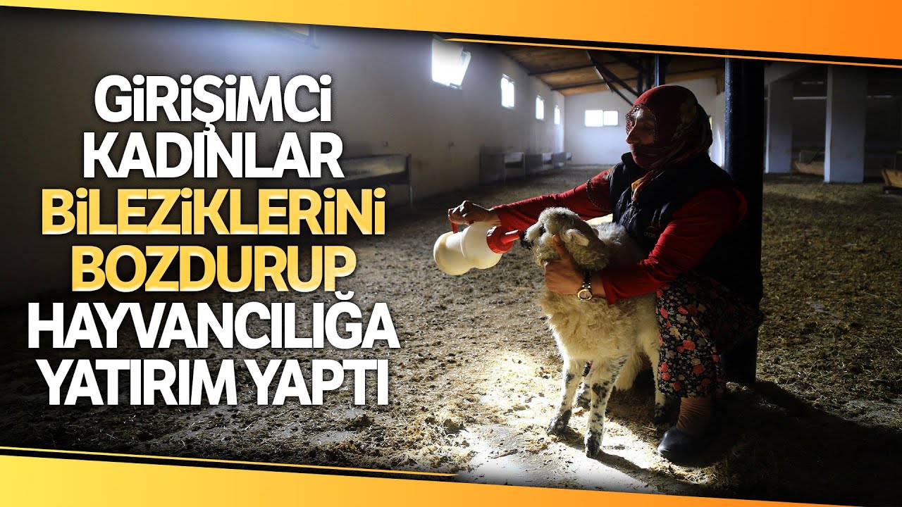 Gümüşhaneli Kadınlar Bileziklerini Bozdurup Katıldıkları Kooperatifle Köylerini Kalkındırıyor