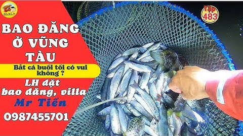 Bao đăng ở bãi Đồi Nhái Vũng Tàu:  Bắt cá buổi tối vui hơn hay ngày vui hơn.