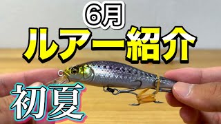 6月に使うルアー紹介！初夏のシーバスを釣るために選抜したルアーで実