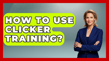 How To Use Clicker Training? - The Horses Stable