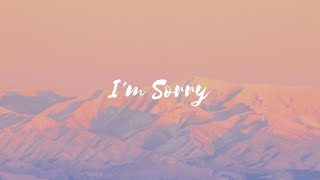 I'm Sorry - Ali Gatie (Lyrics)