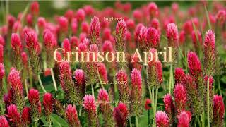 Crimson April | {anphere} 🍁🎶 screenshot 5