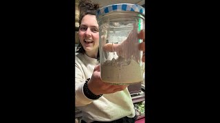 Download Lagu Dag 3 glutenvrije Zuurdesemchallenge live Q\u0026A MP3