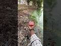 #jbl GO4 music#water testing#video 💦😲