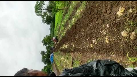 VST SHAKTI MT 932 ...30 HP WITH Rotavator...