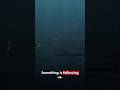 The Last Recording Before The Submarine Went Silent #mystery #viral #underwatertreasure #usa