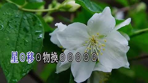 Thumbnail of 永繫不了情 ~旦:鳳儀伴唱版 3-20-20